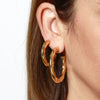 Wave L Gold Earrings