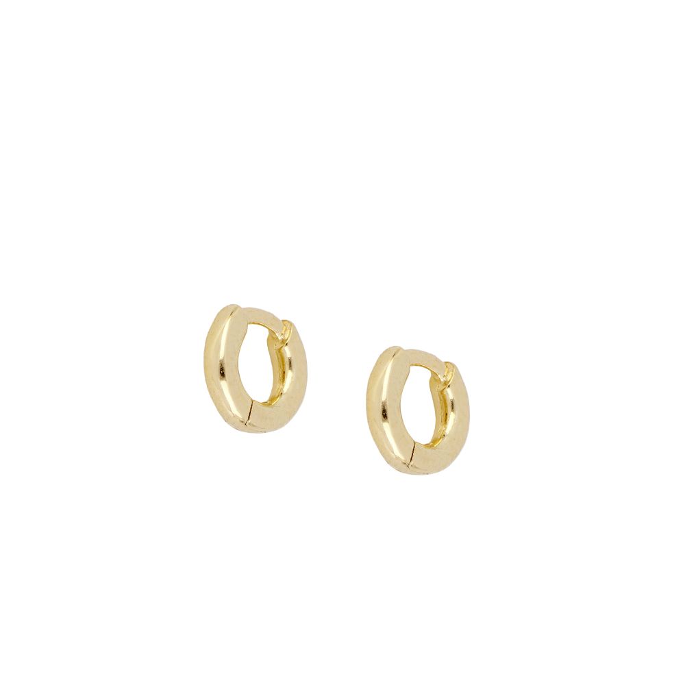 Aina Gold Earrings