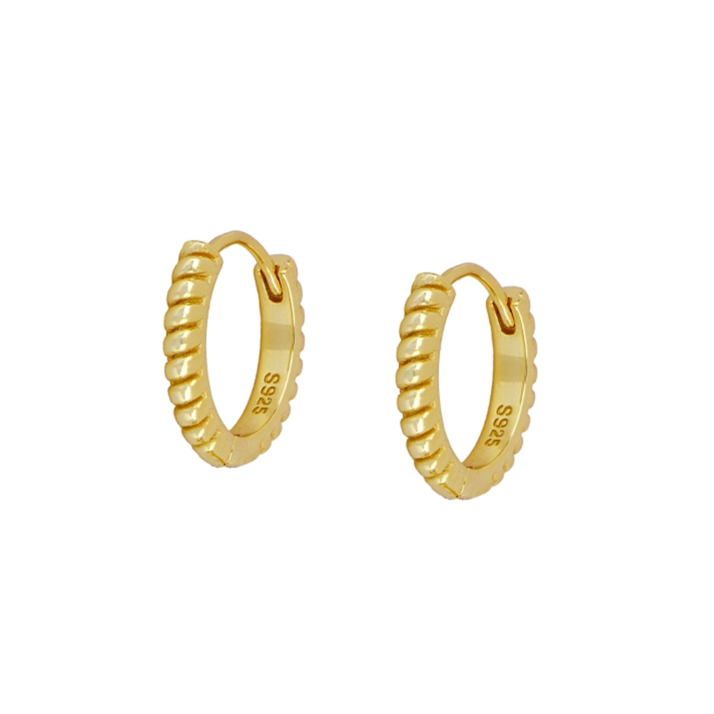 Badin Gold Earrings