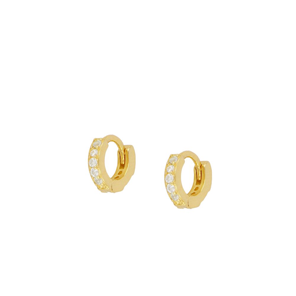 Mini Secret Gold Earrings