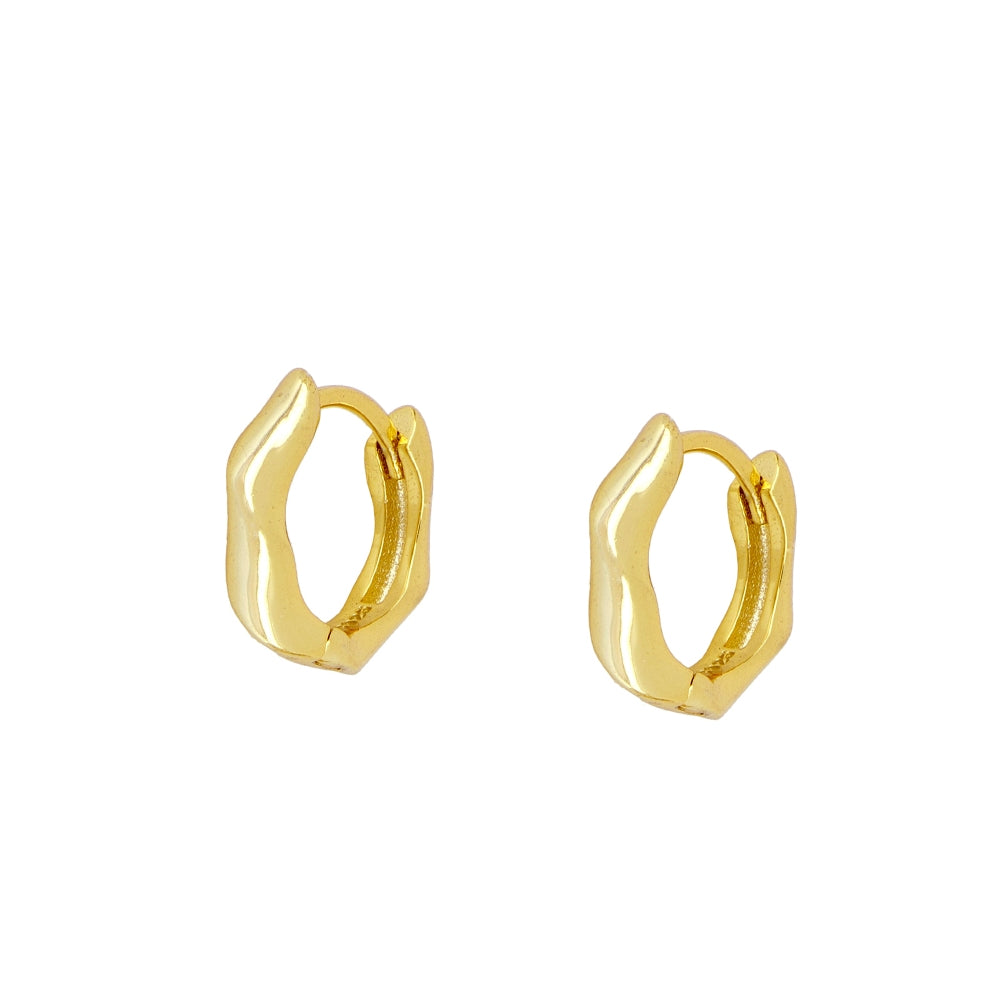 Sam Gold Hoop Earrings