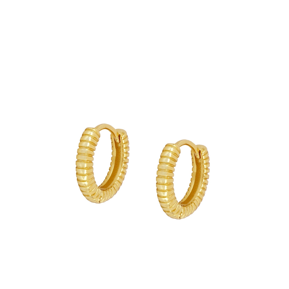 Amy Gold Hoop Earrings